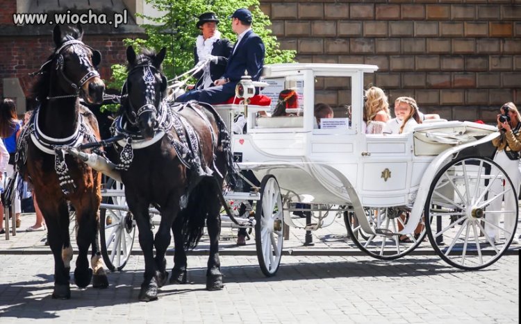 1 komunia święta na bogato w Krakowie