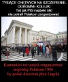 Rząd nam umie majówkę zorganizować 
