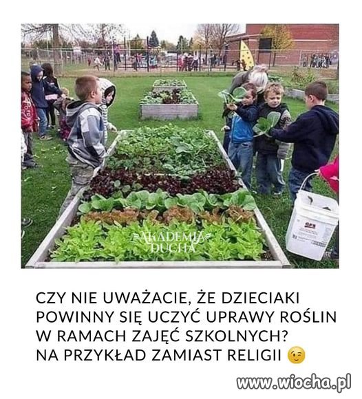 Zdecydowanie pożyteczniejsze