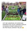Zdecydowanie pożyteczniejsze