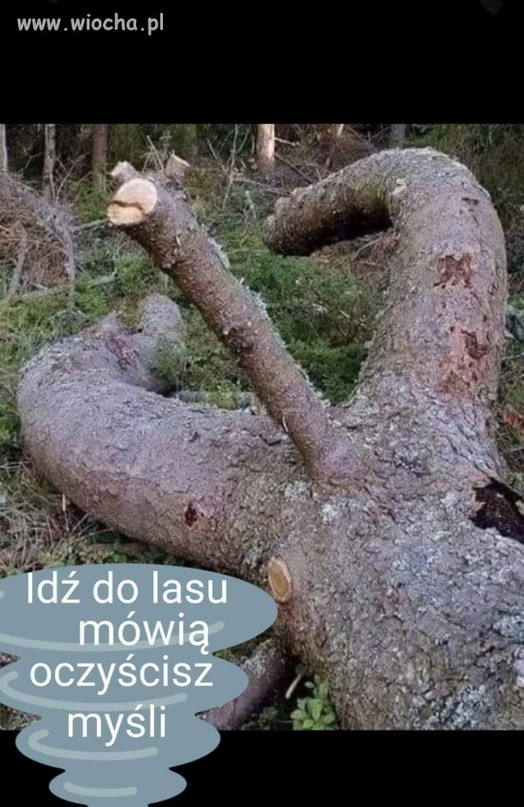 No i poszedłem