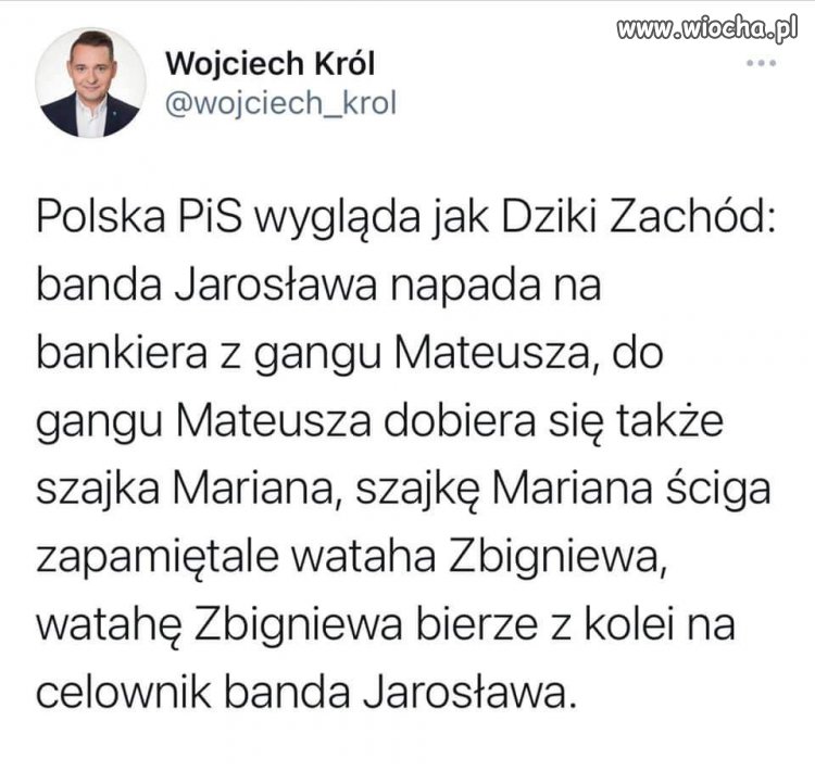 Dziki