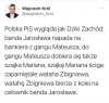 Dziki