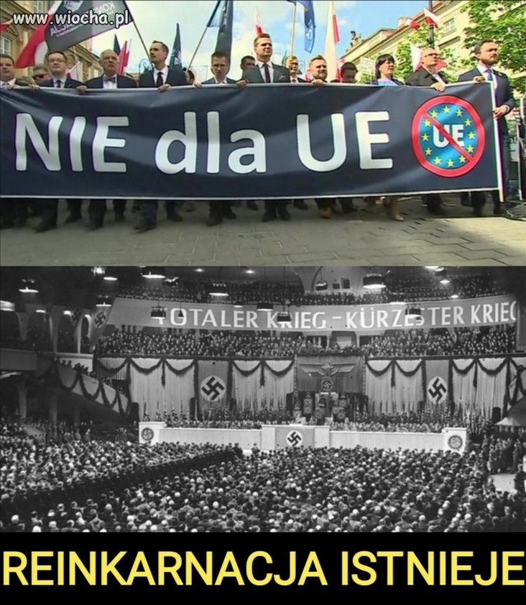 Faszolka po 