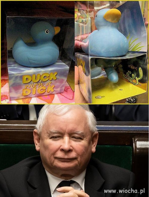 Dick with a duck