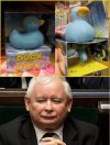 Dick with a duck