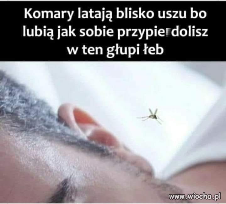 I wszystko jasne