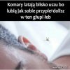 I wszystko jasne