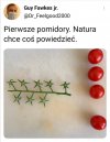 Natura też to wie 