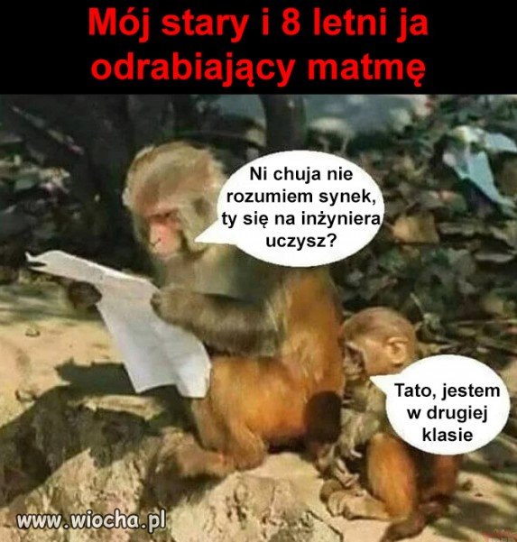 Nauka na pOsła pis