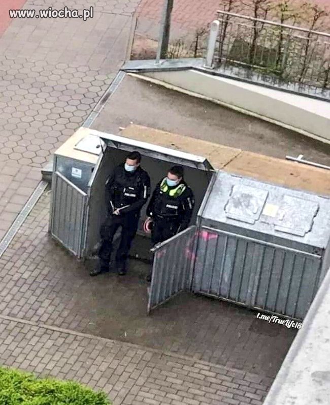 Ładna budka?