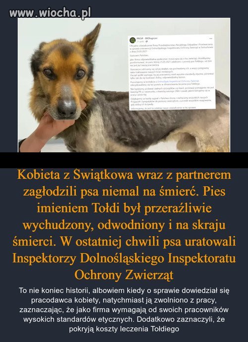 Przykre, ale prawdziwe...