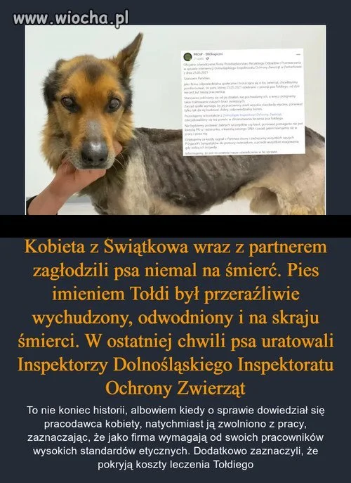 Przykre, ale prawdziwe...