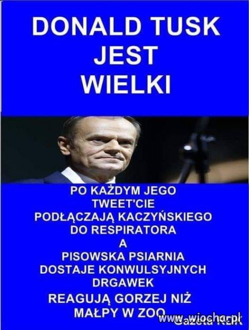 Co fakt to fakt