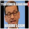 Vateusz Matołecki na pisowskim haju