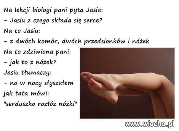 Na lekcji biologii 