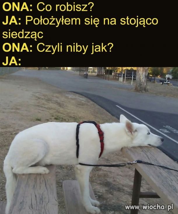 Heheszki