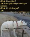 Heheszki