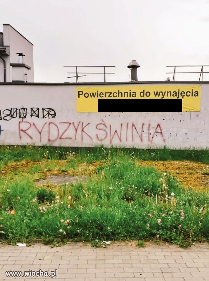 Powierzchnia do wynajęcia