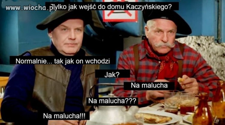 Film Polski... Kingsajz