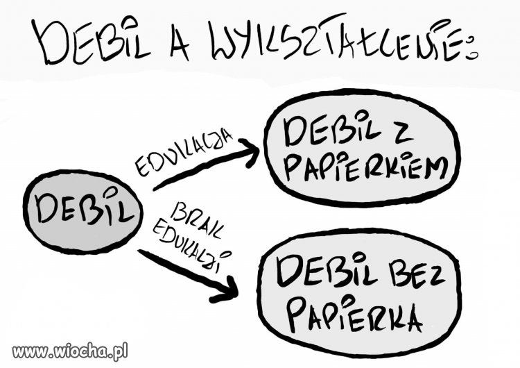 Edukacja współczesna