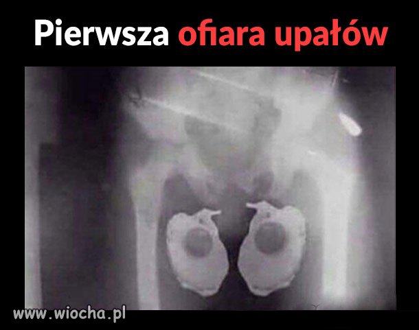 Pierwsze ofiary upału 