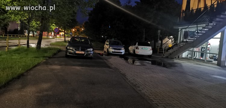 Mistrz parkowania