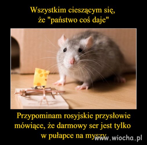Rosyjskie przysłowie 