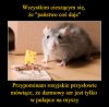 Rosyjskie przysłowie 