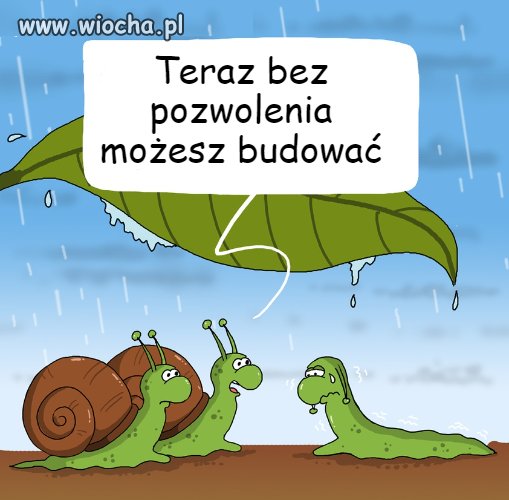 Nowy ład / nowy dom 