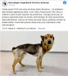 Typowy przykład patologii w katolickim narodzie...