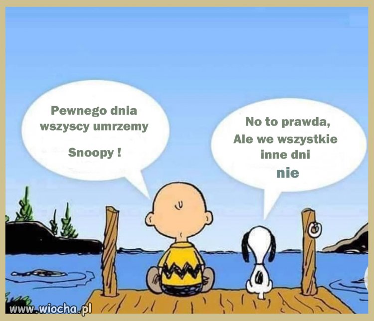 Dla odprężenia
