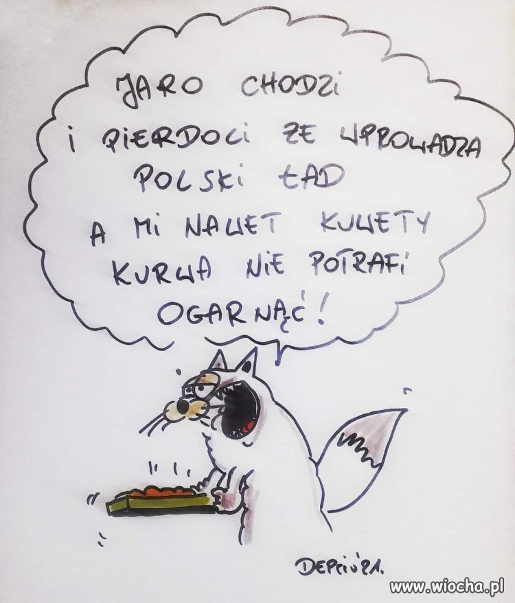 Heheszki polityczne