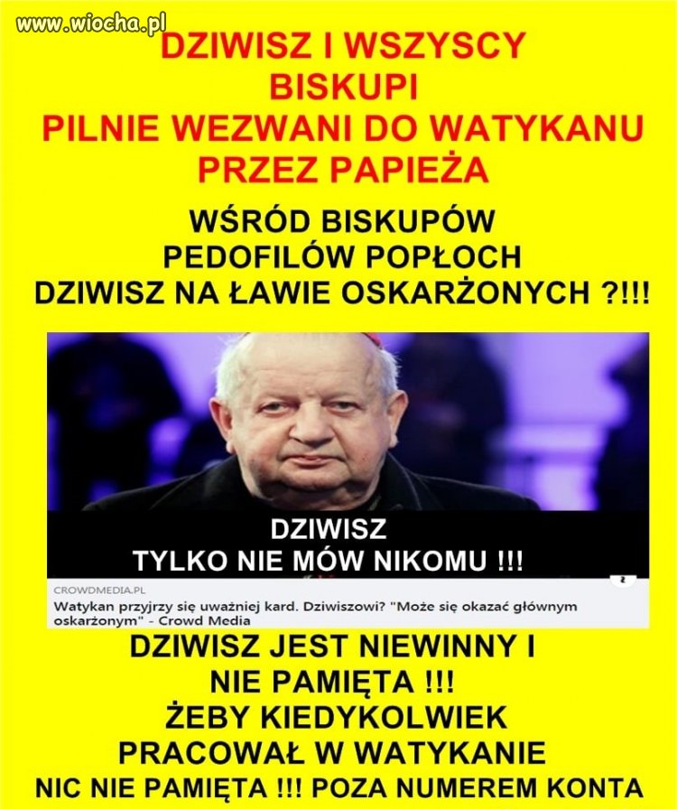 Dziwisz się dziwi 