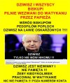 Dziwisz się dziwi 