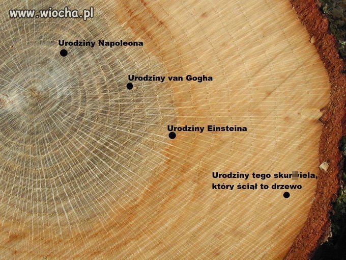 Także ten...