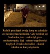 A mógł załatwić sprawę na miejscu widłami