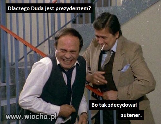 Sutener zdecydował 