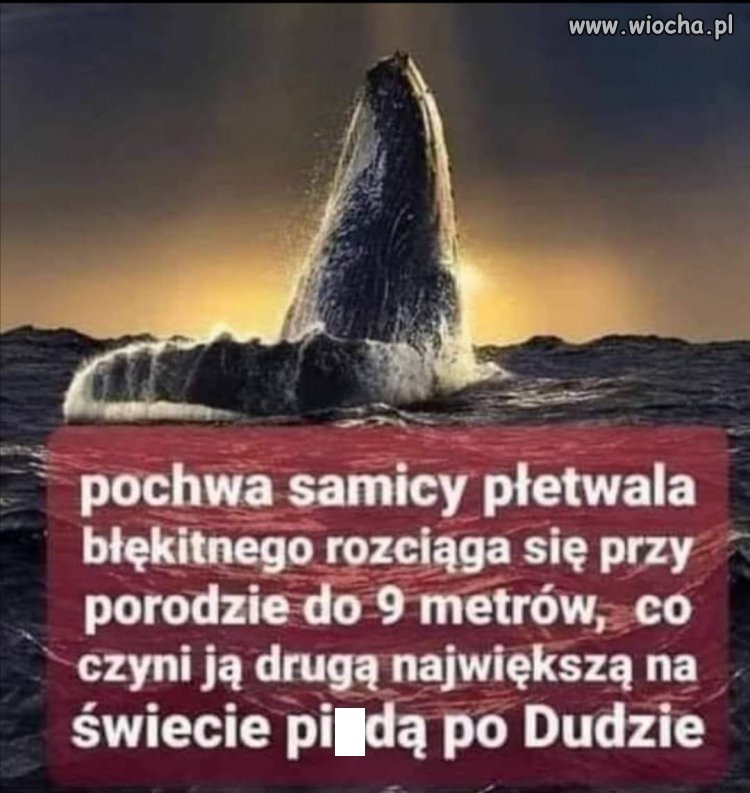 ☆☆☆☆☆ ☆☆☆