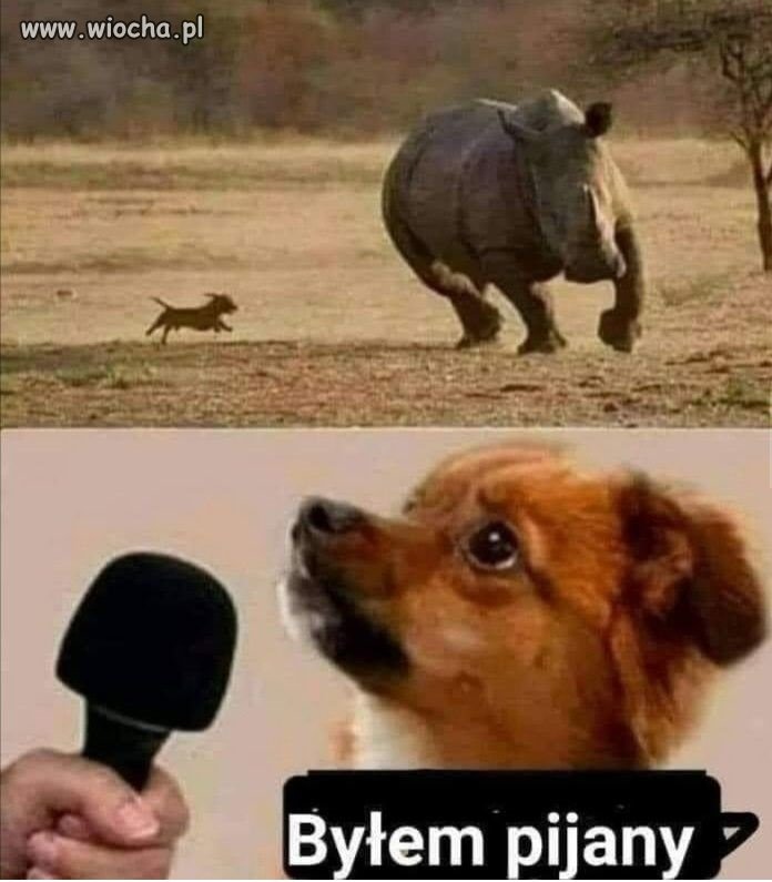 Heheszki