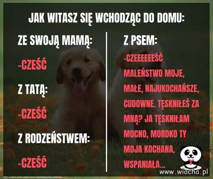 Zgadza się