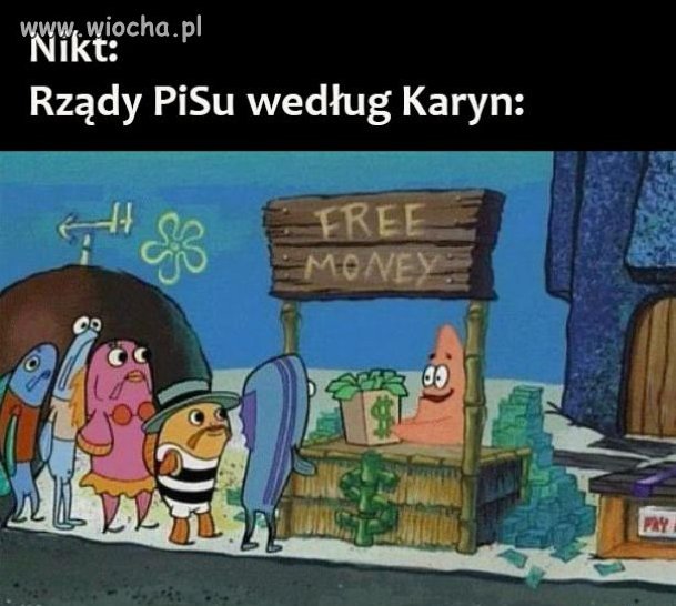 Polityka społeczna pis