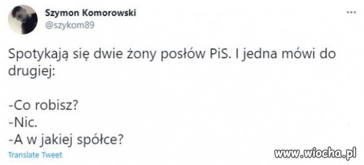 Żony posłów PiS