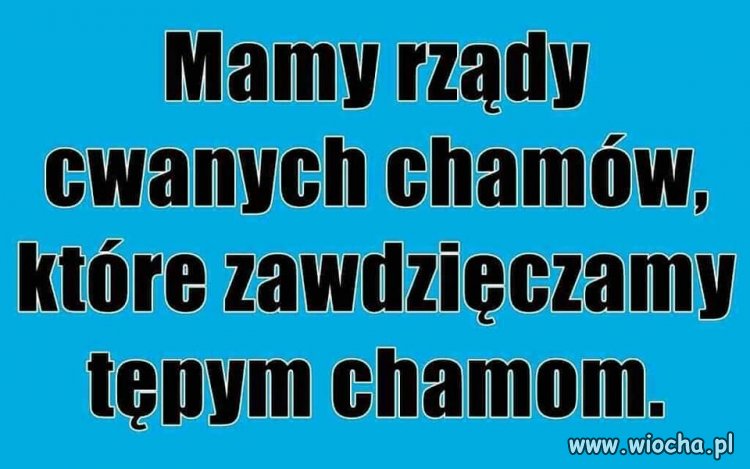 Dokładnie tak.