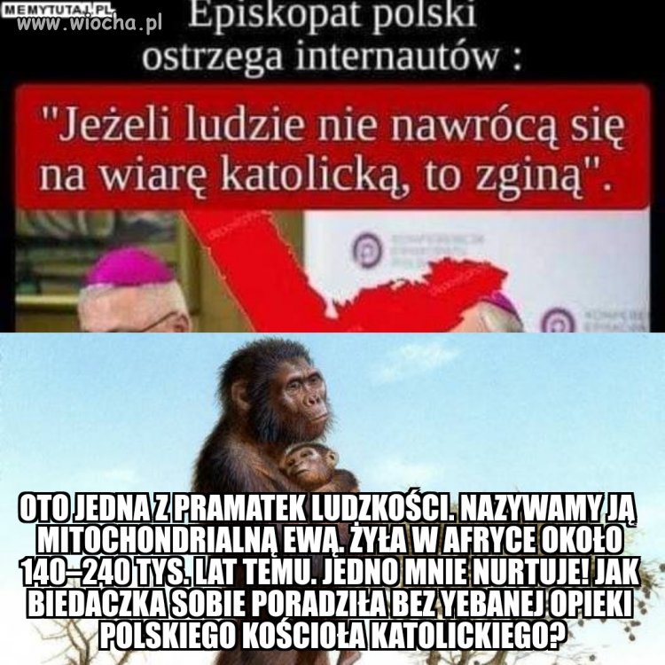Uwielbiam rypnąć nauką opartą na faktach w...