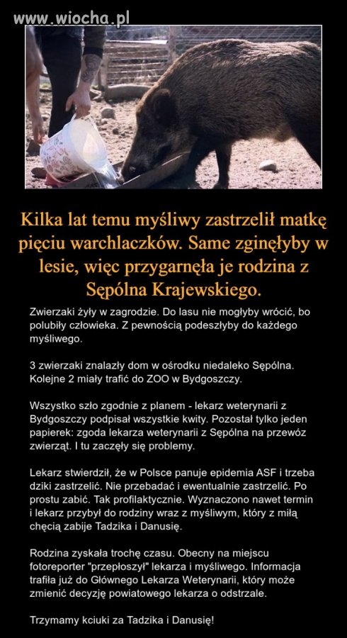 To jest Polska
