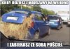 Folwark na wiejskiej przyciąga elektorat.