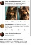 Pies prawie jak Górniak