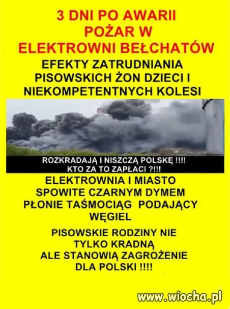 Brawo eksperci PiSu...i ich rodziny na swoim!