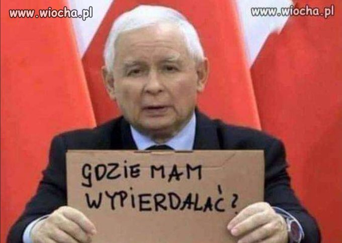 Kto Go przygarnie ?